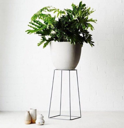 minimalist plant stand